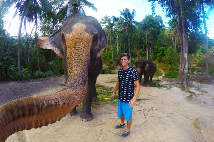 泰国大象用鼻子操作相机自拍