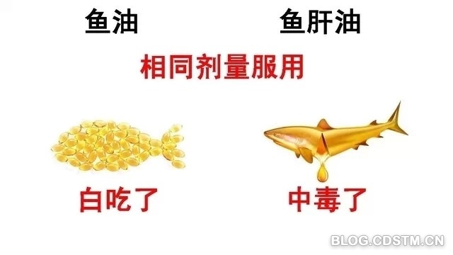 鱼油和鱼肝油不是一回事：千万不要乱吃
