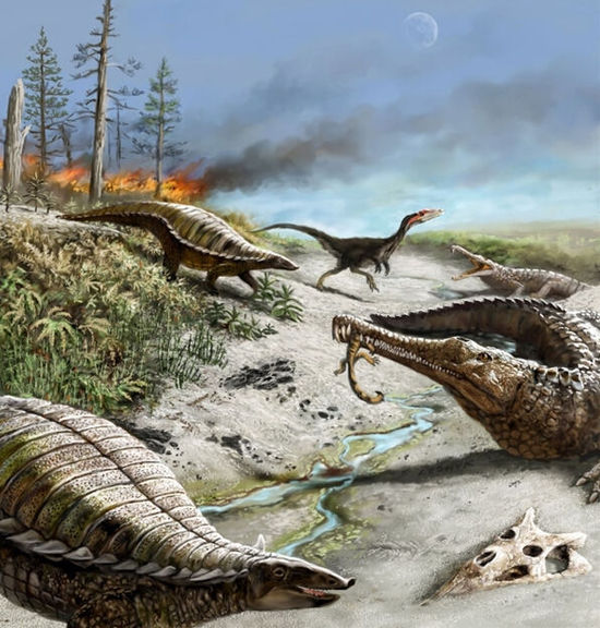 极端气候变化曾阻碍恐龙崛起