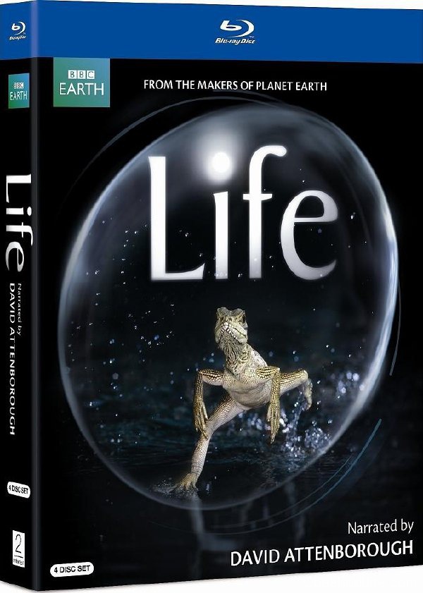 BBC纪录片《生命》10集下载 高清在线观看