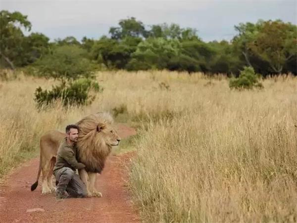 Kevin Richardson：他花16年跟狮子交谈，可他最爱的狮王却被偷猎者杀死