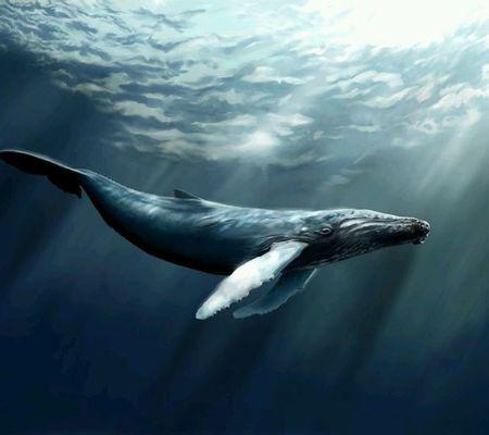 如果被鲸鱼吞了，还能逃出来活命吗？