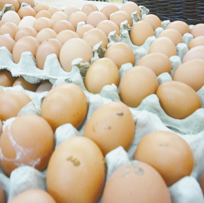 带鸡粪的鸡蛋就原生态鸡蛋？